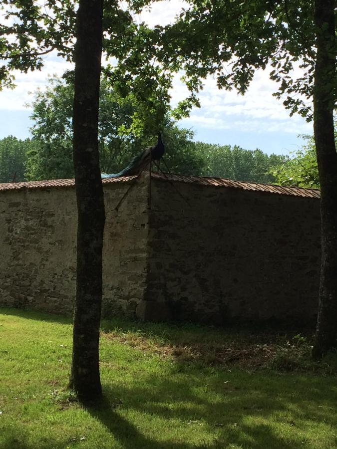 Cabanes Et Studios A La Bernardiere Sevremoine 외부 사진