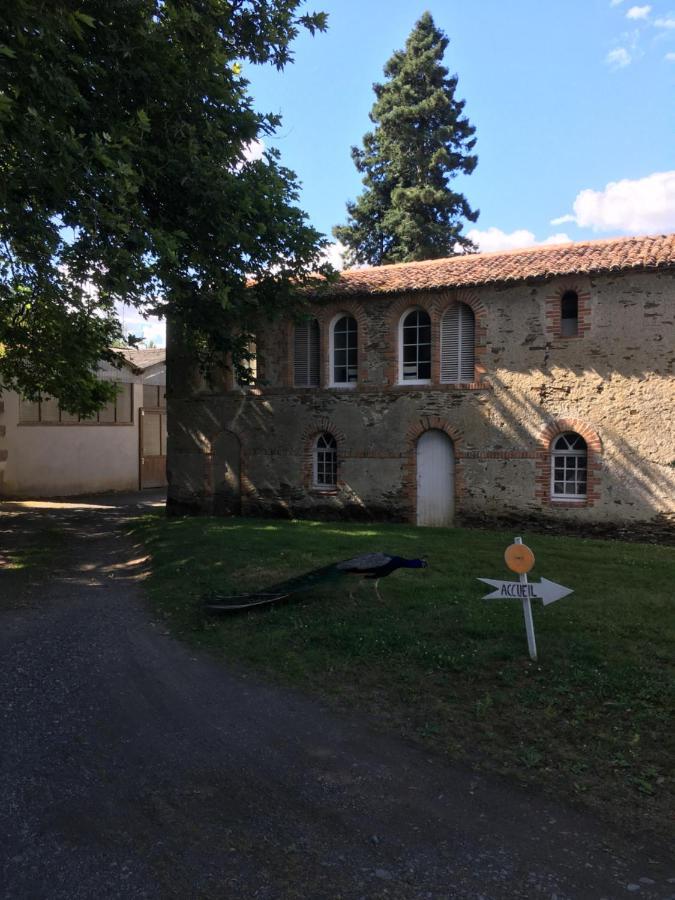 Cabanes Et Studios A La Bernardiere Sevremoine 외부 사진
